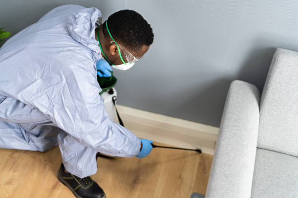 Best Fumigation Services  in Trinity, TX